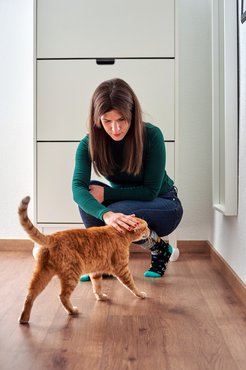 macska követi a gazdáját, aki simogatja