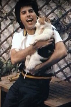 Freddie Mercury macskával