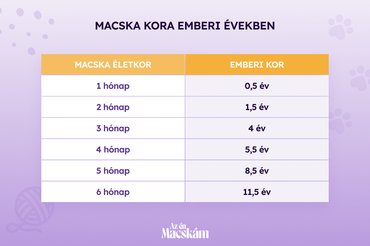 A macska életkora emberi években táblázat