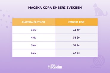 A macska életkora emberi években táblázat