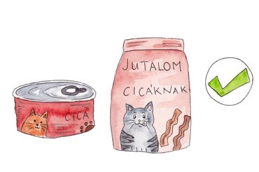Az illusztráció dr. Balatonyi Lilla Egy cica útmutatója kis gazdiknak című könyvében található
