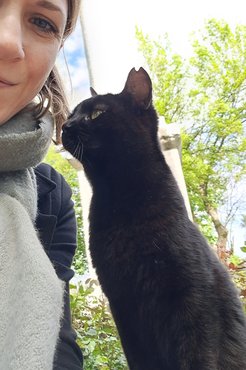 Frissítés: kis barátom fülén a jelzés azt jelenti, ivartalanítva van. Ahogy itthom, úgy külföldön is így jelölik meg az utcán élő cicákat
