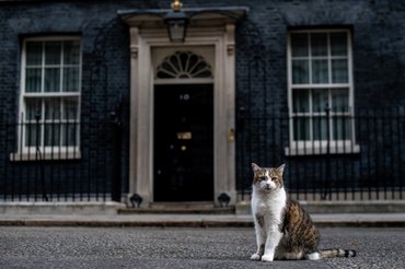 Larry az angol miniszterelnőkségi főegerész