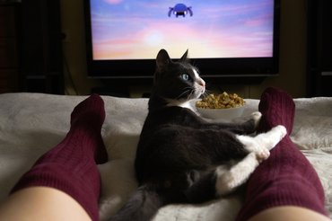 Macska az ágyban fekvő gazdája lába között, a TV előtt, popcornnal