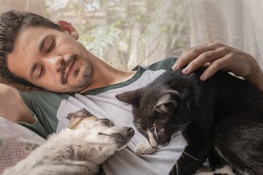 kutya és macska a gazdájukkal
